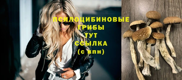 наркотики Волосово