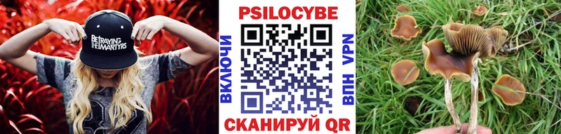 Галлюциногенные грибы GOLDEN TEACHER  наркота  Ставрополь 