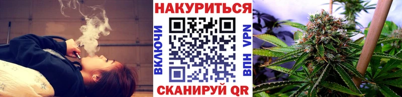 МАРИХУАНА сатива  продажа наркотиков  Ставрополь 